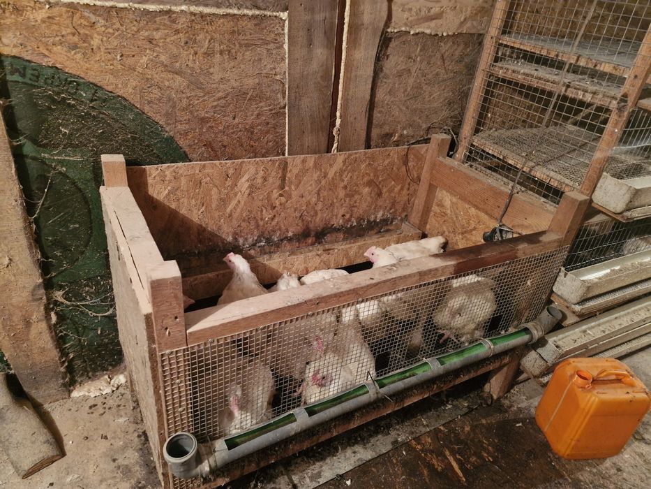 Клетки для перепелов и бройлеров