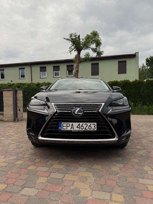 Lexus NX Lexus NX 300h Business Edition AWD 5d Salon PL VAT 23
