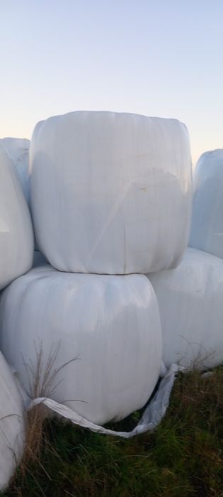 Sianokiszonka gorzowska, siano, słoma