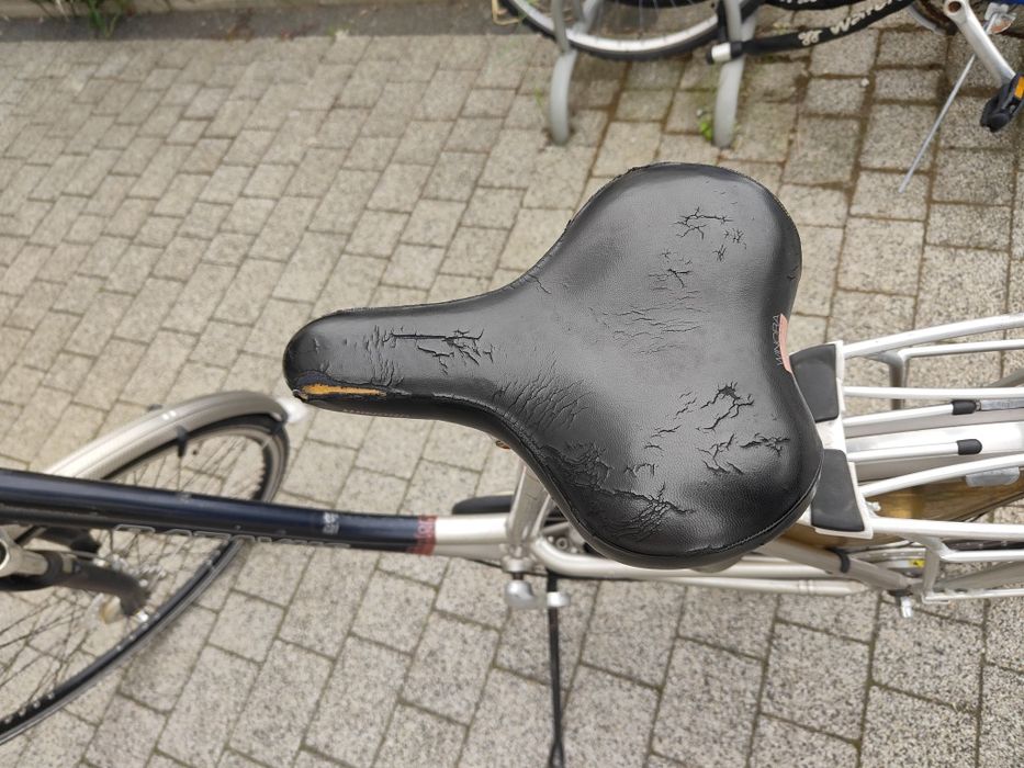 Rower miejski Batavus Nexus 7