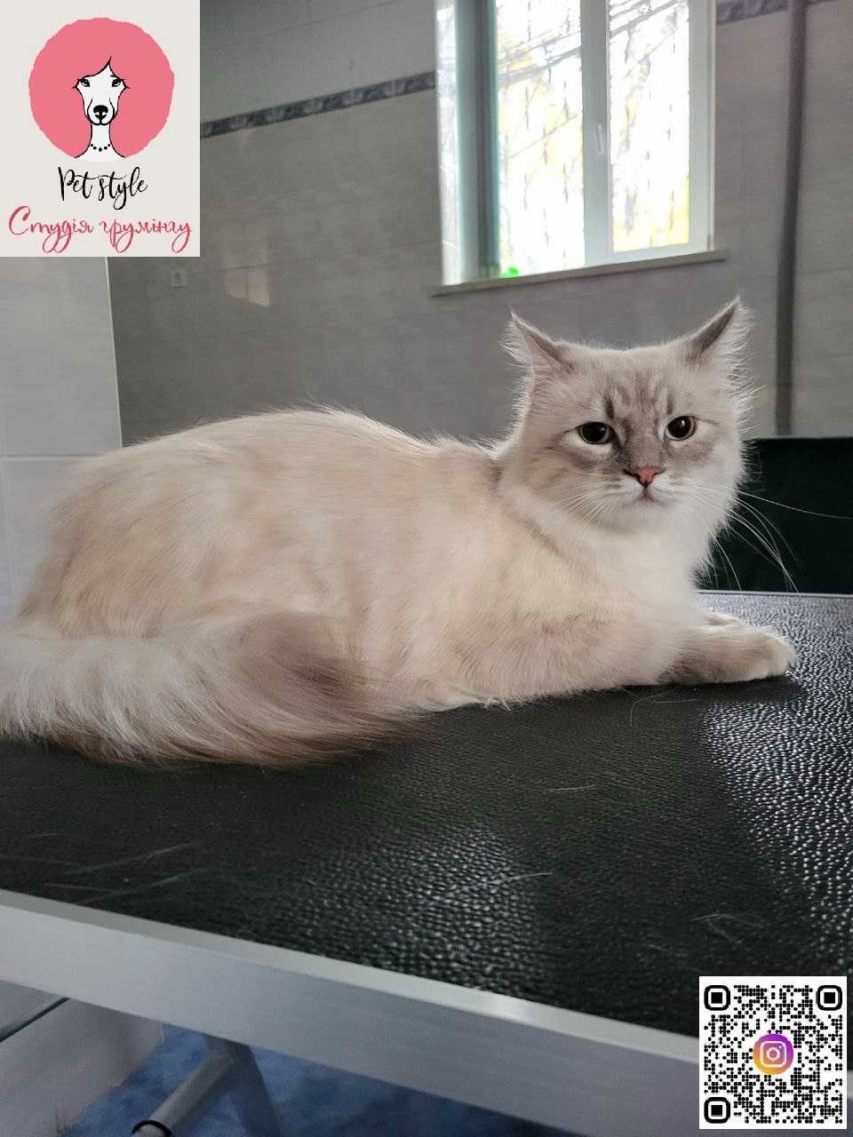 Cтрижка собак та котів (Грумінг)