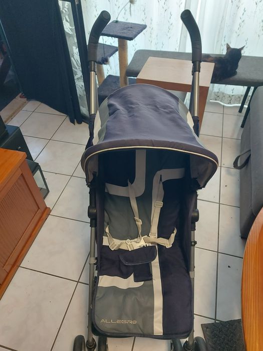 Carrinho de passeio (bengala road)