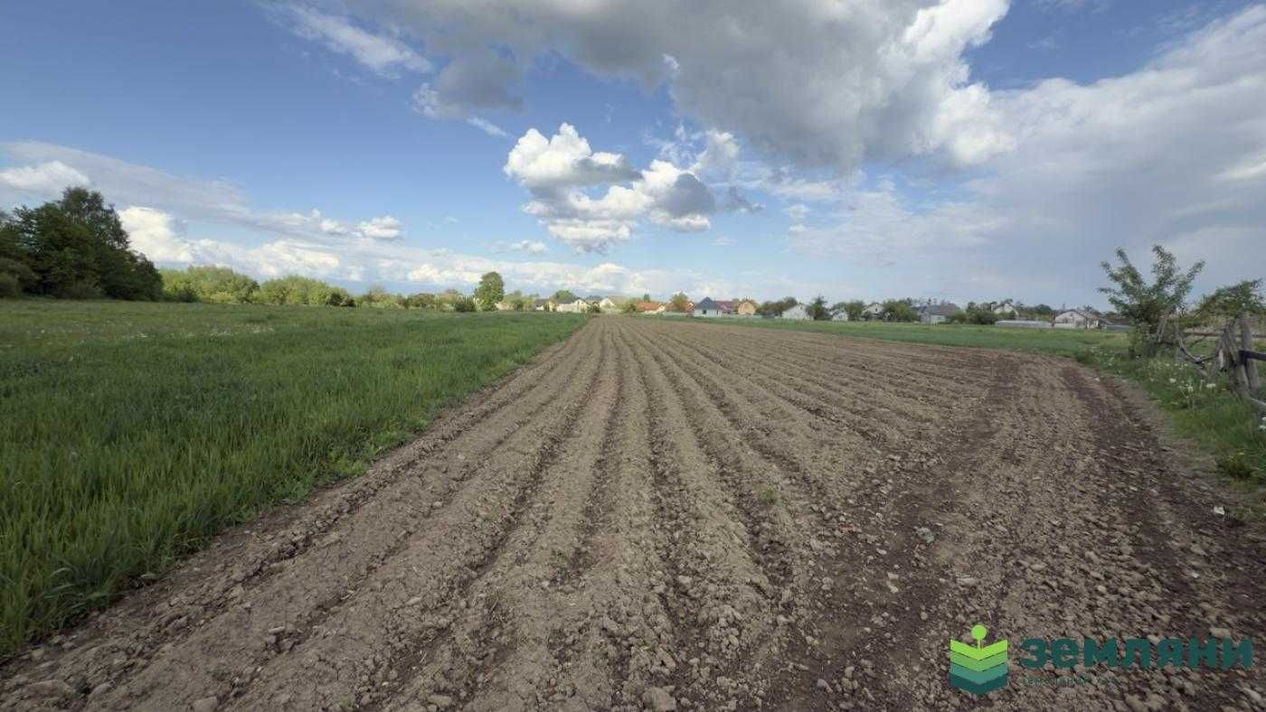 Продається ділянка 15 сот в с. Березівка