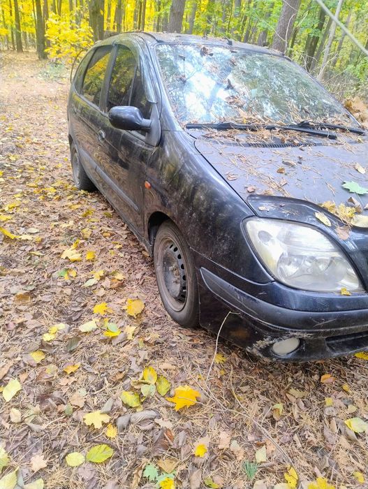 Renault Авто/Легкові автомобілі