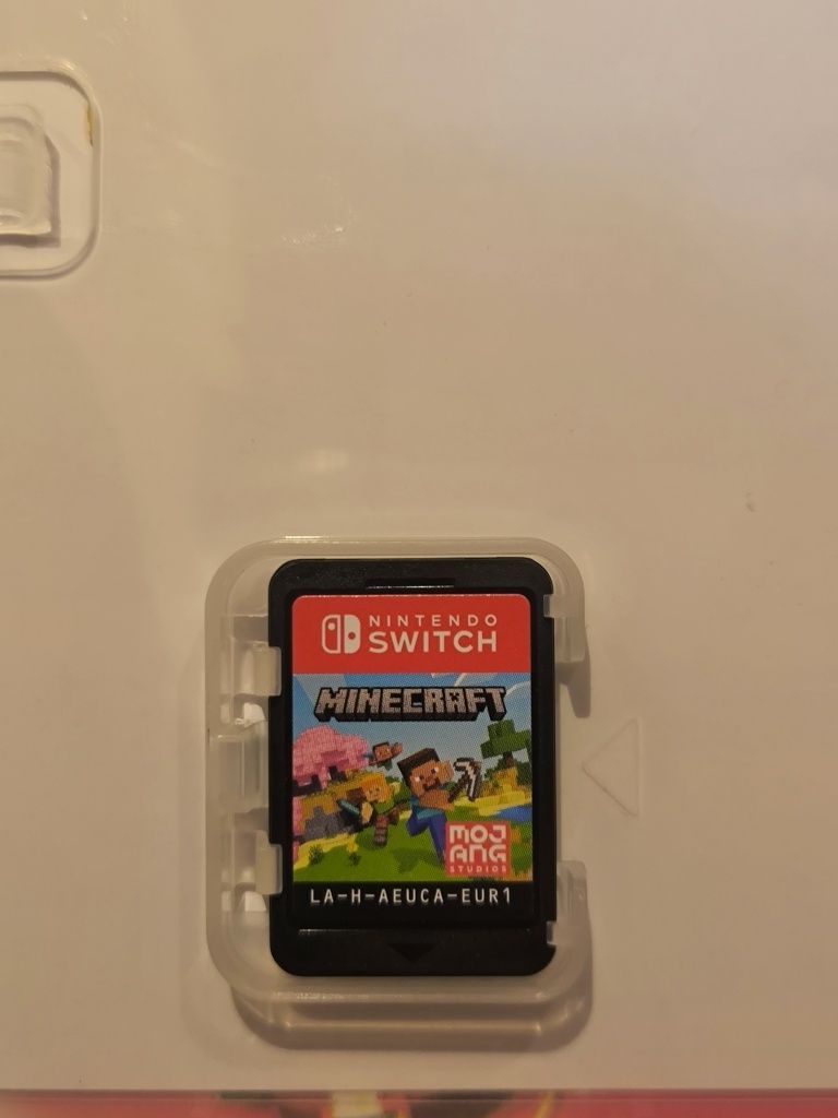 Minecraft Nintendo switch