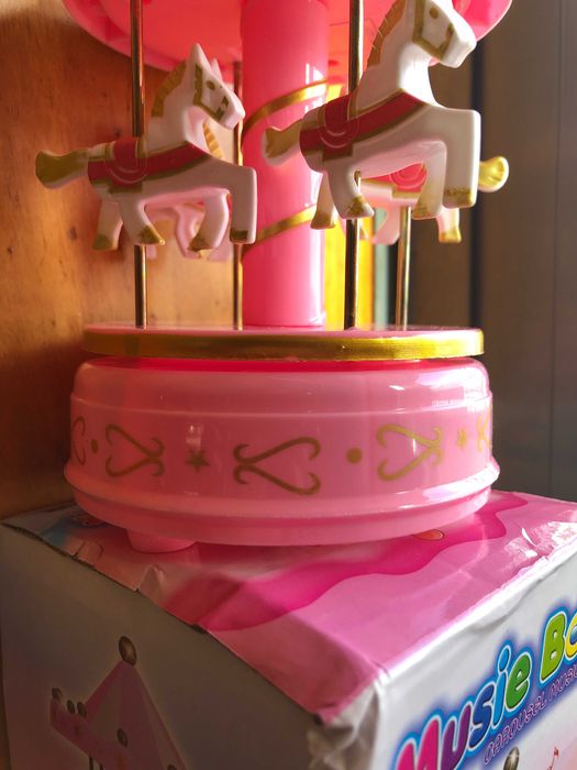 Carrossel musical novo
