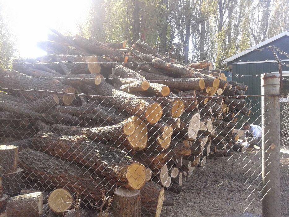 Продаємо дрова дубові,чурки метрівки,колоті і кругляк,колоди