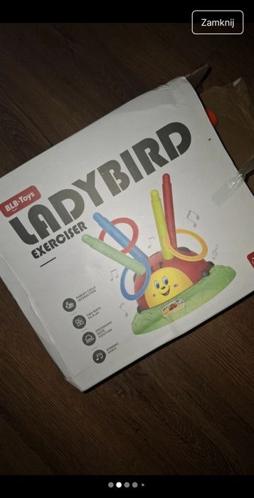 Zabawka wielofunkcyjna biedronka