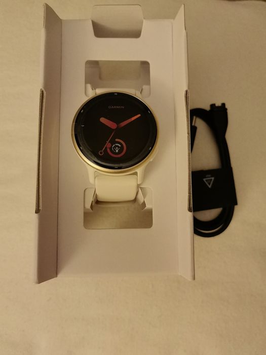 Smartwatch garmin vivomove 5