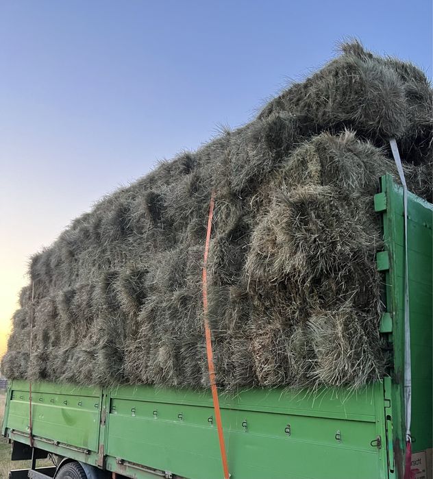 Продам сіно, сено в тюках, люцерна, Оттава!
