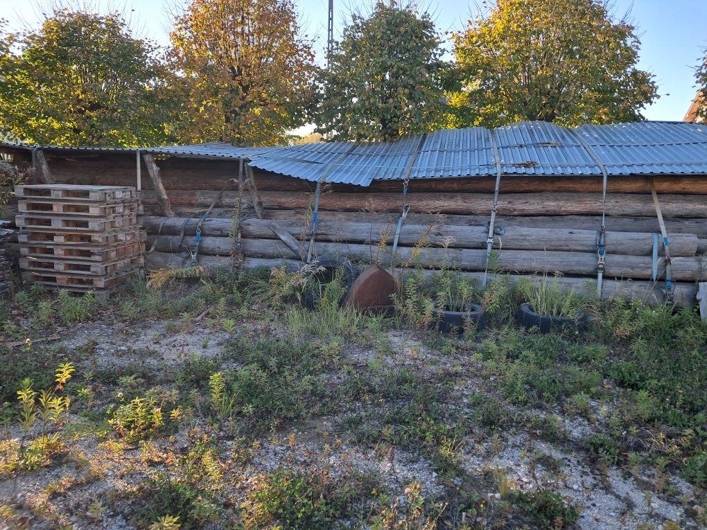Sprzedam drzewo na dom,  sosnę ,dłużycę ,tartaczną.