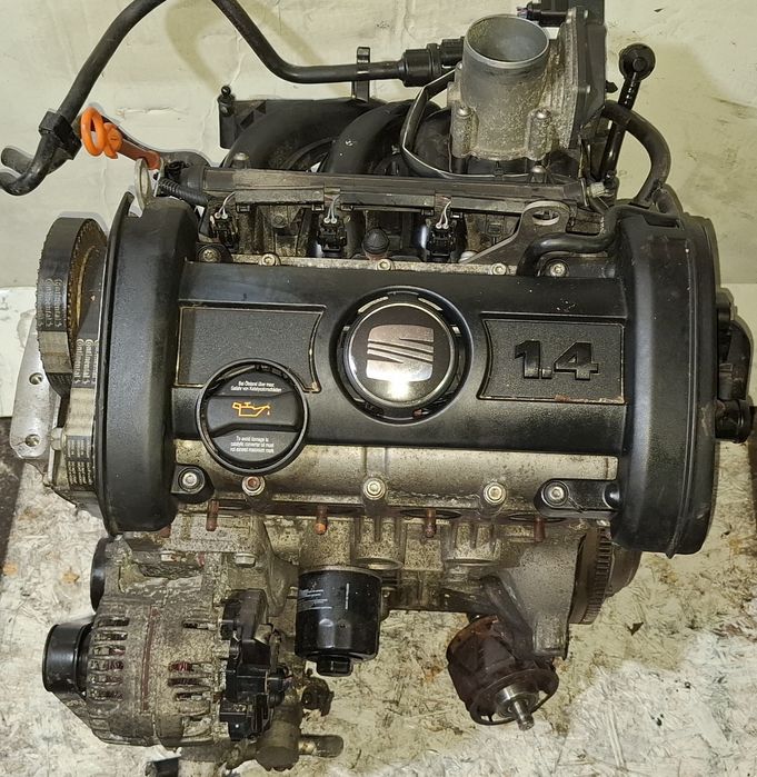 Двигун 1.4 BXW CGG Golf V Polo II Skoda Octavia A5 Fabia Seat Ibiza