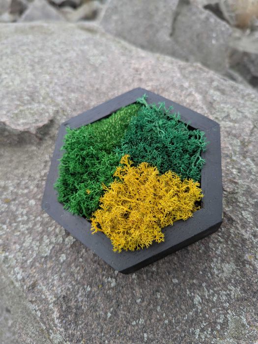 Соти декор в інтер'єр на стіну картина з моху Панно з дерева Мозаїка