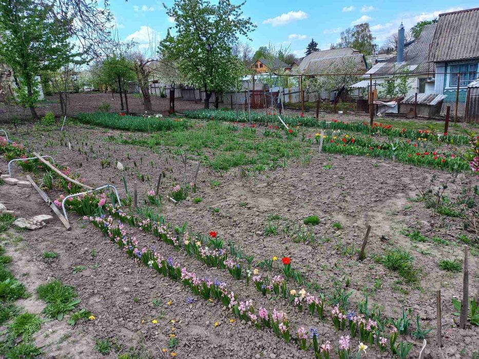 Ділянка  з хатою