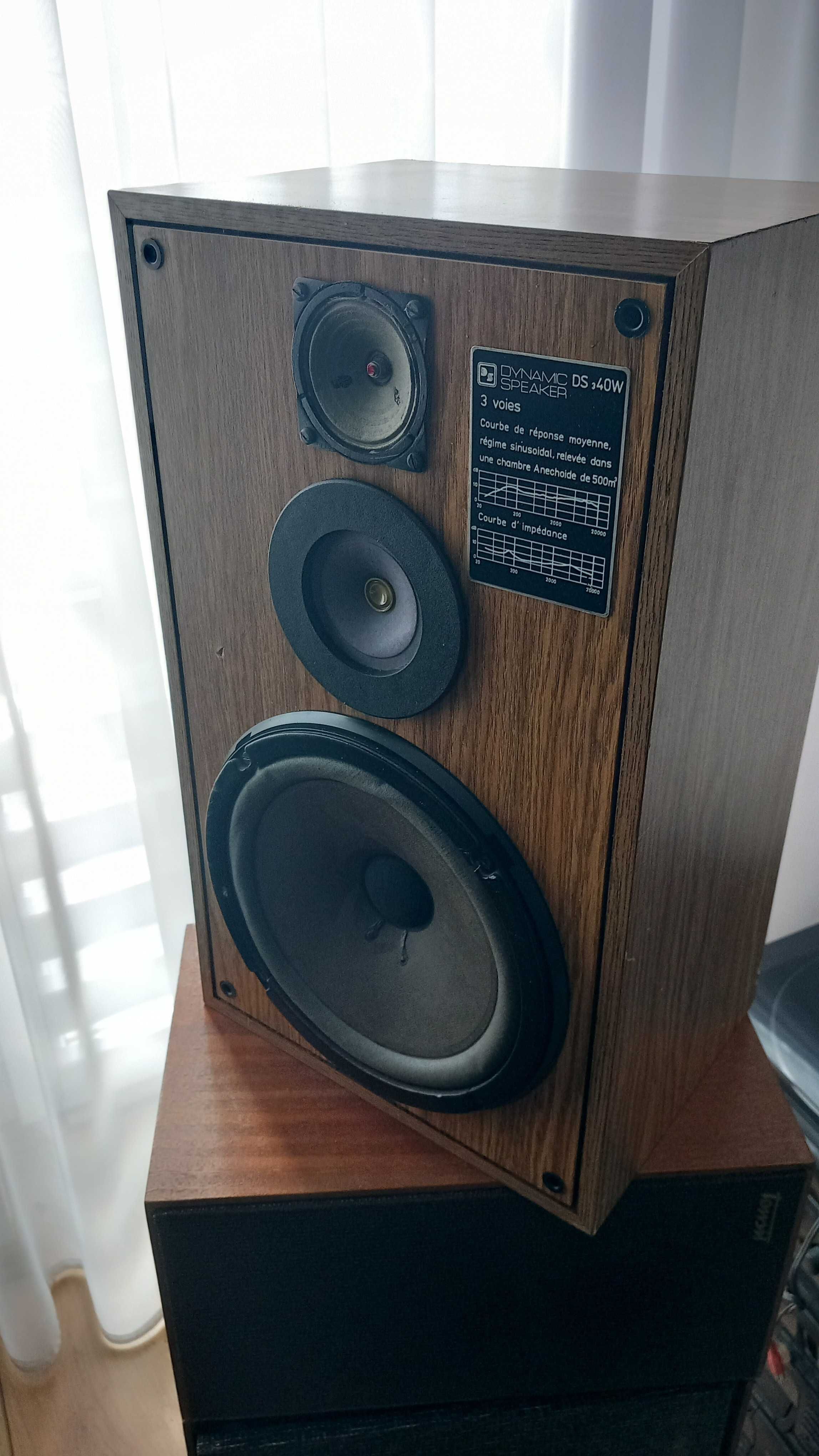 Tonsil Unitra Dynamic Speaker 3D 40W 8 Ohm *modyfikacja DUAL i Pioneer