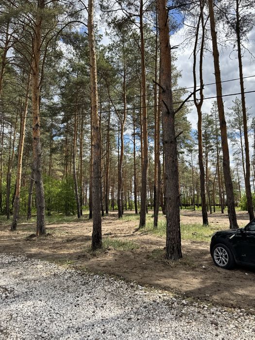 Продам 35 соток в лесу под застройку.