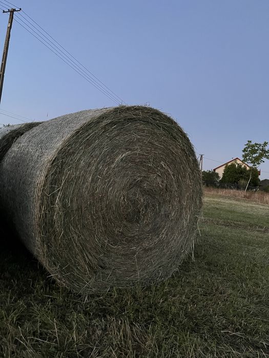 Sprzedam siano tegoroczne