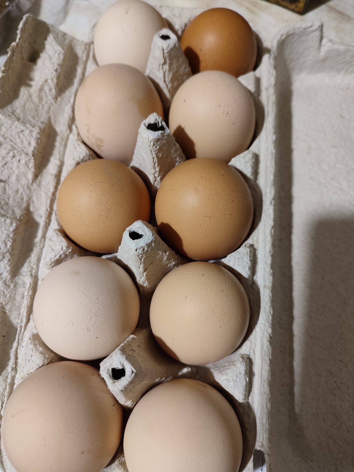 Яйця домашні якісні