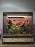 Terrarium na zamówienie