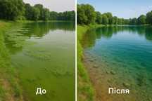 Біопоепарат для очищення водойми