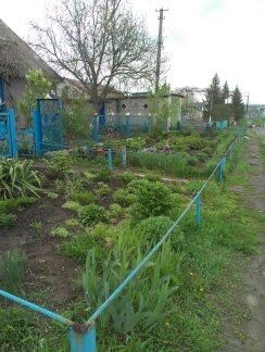 Продам дом, Башмачка