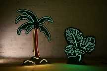 Instalacje świetlne rośliny neon led palma monstera na event festiwal