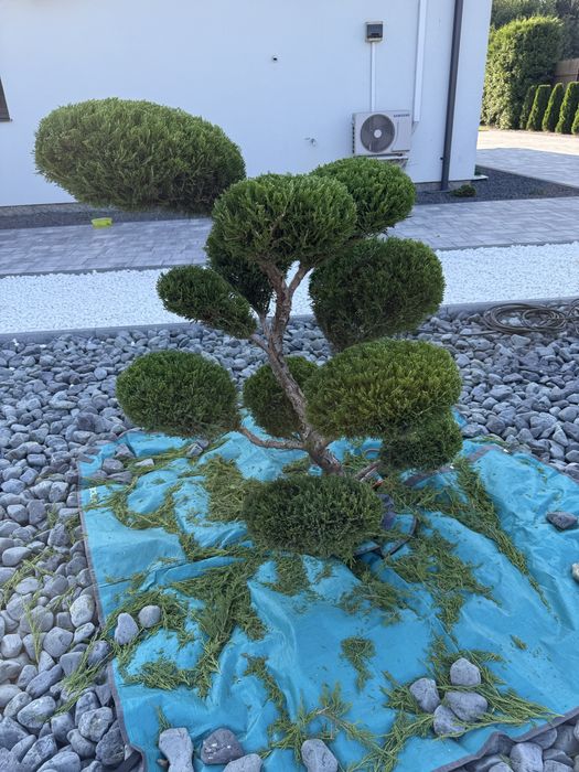 Pielęgnacja ogrodu/zakładanie