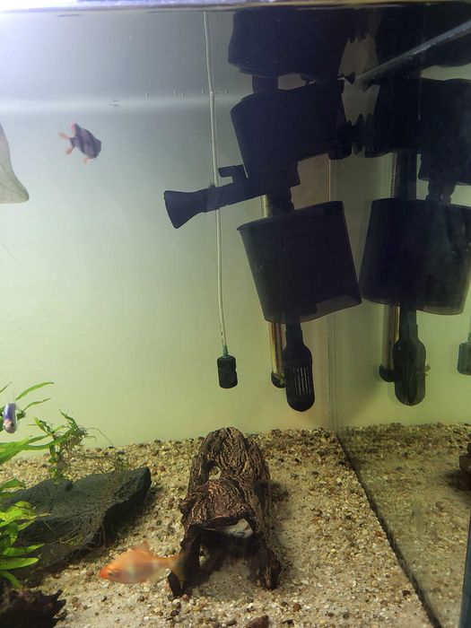 Akwarium 450l z szafką