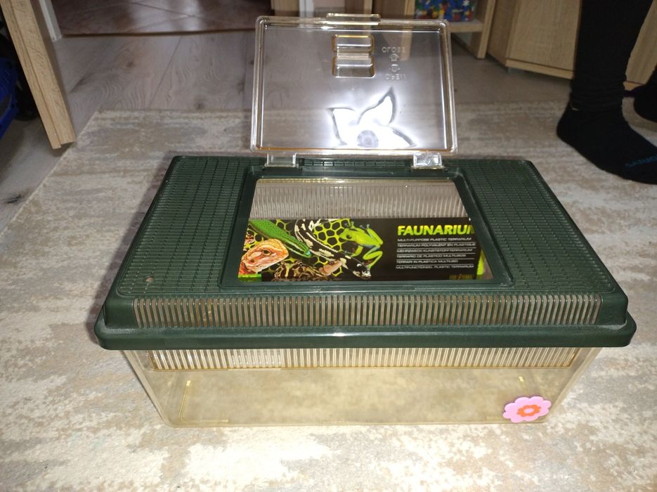 Sprzedam małe nowe terrarium
