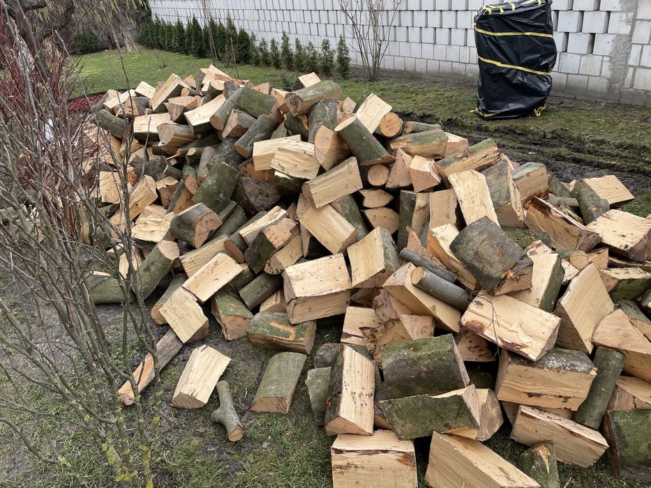 Suche Drewno opałowe bukowe