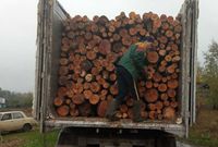 Купити дубові дрова. Дрова з дуба, вільхи та берези