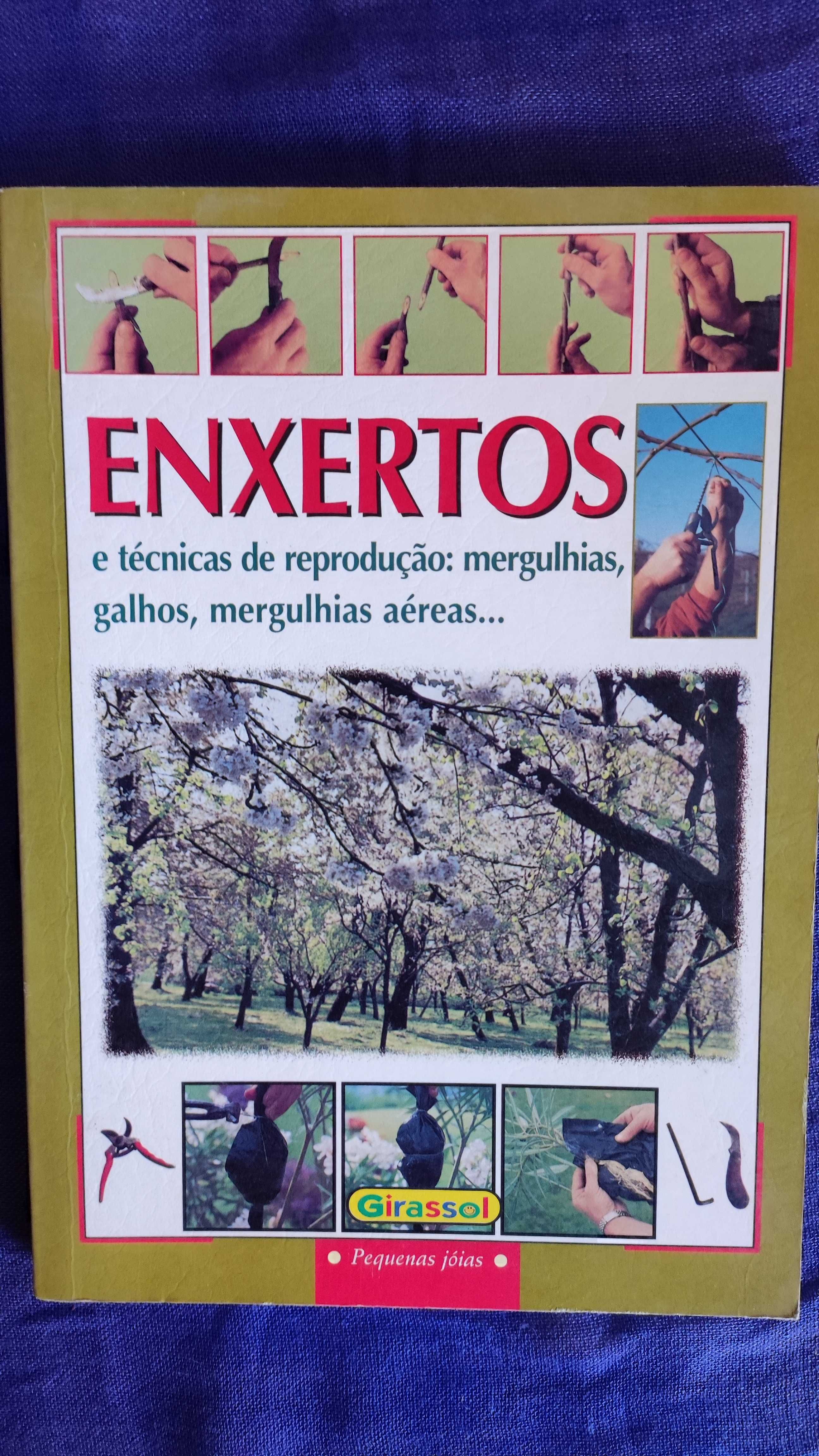 2=1 -> Culturas Hortícolas & Enxertos de Árvores