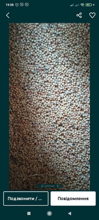 Соя урожай 2025.