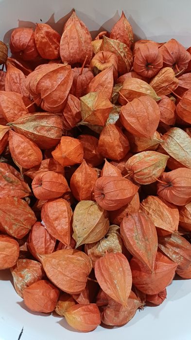 Продам фезалис 200 грамм