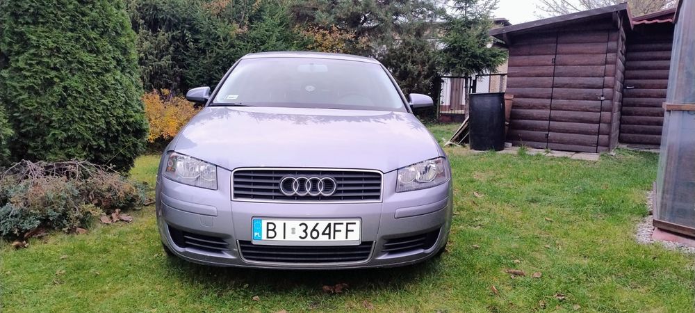Audi a3 8p 2004 rok