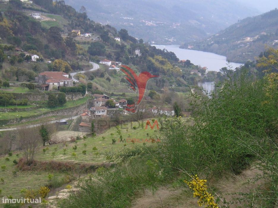 Quinta Rural