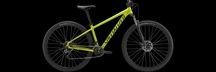 Specialized Rockhopper 29 Satin Olive Green / Black T-M