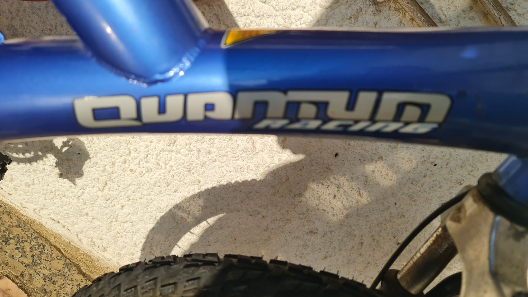 Vendo bicicleta adulto