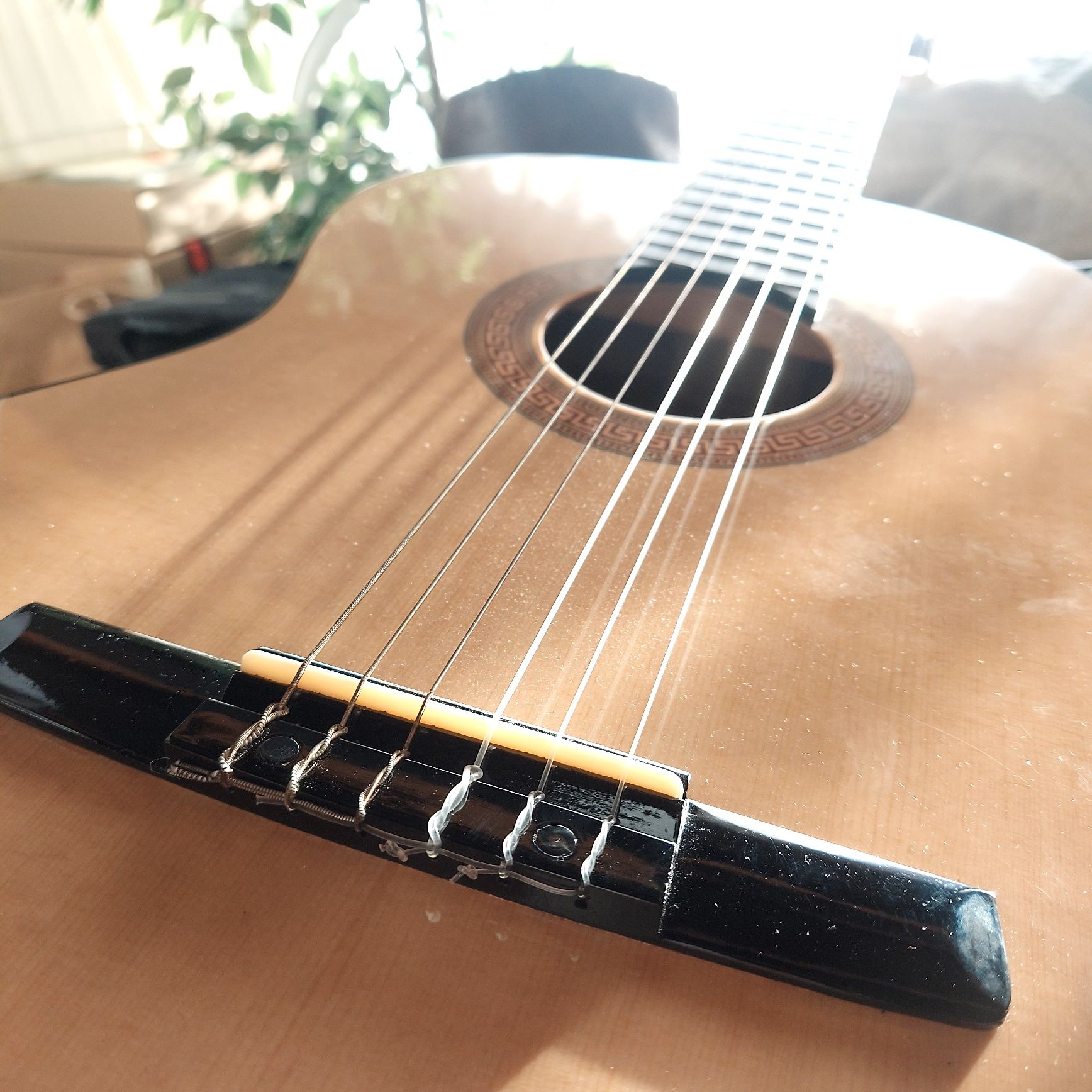 Gitara HOHNER HC06