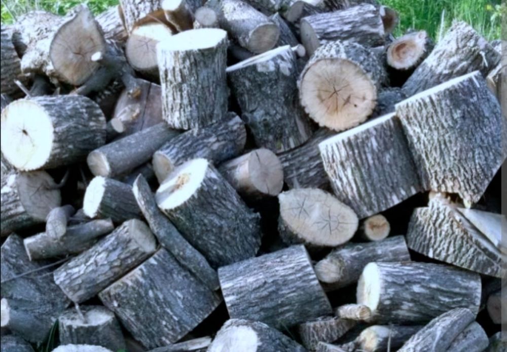 Продам дрова твёрдых пород. Дуб Акаця ясень