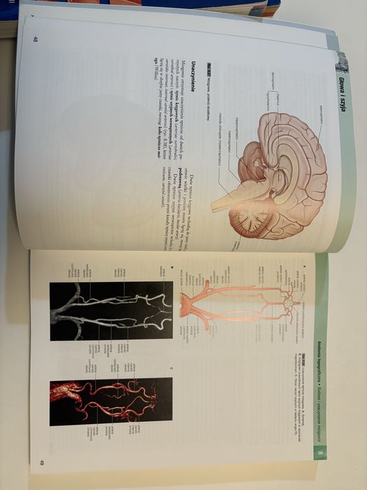 Anatomia Grey tomy 1-3 + gratis pytanai testowe 1-3