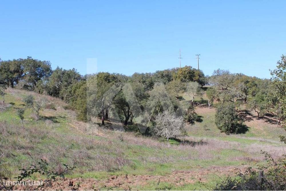 Terreno de 5,8 hectares em Santa Margarida da Serra