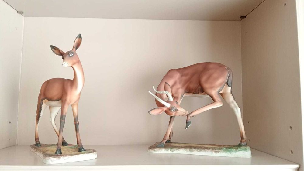 Impalas da Vista Alegre