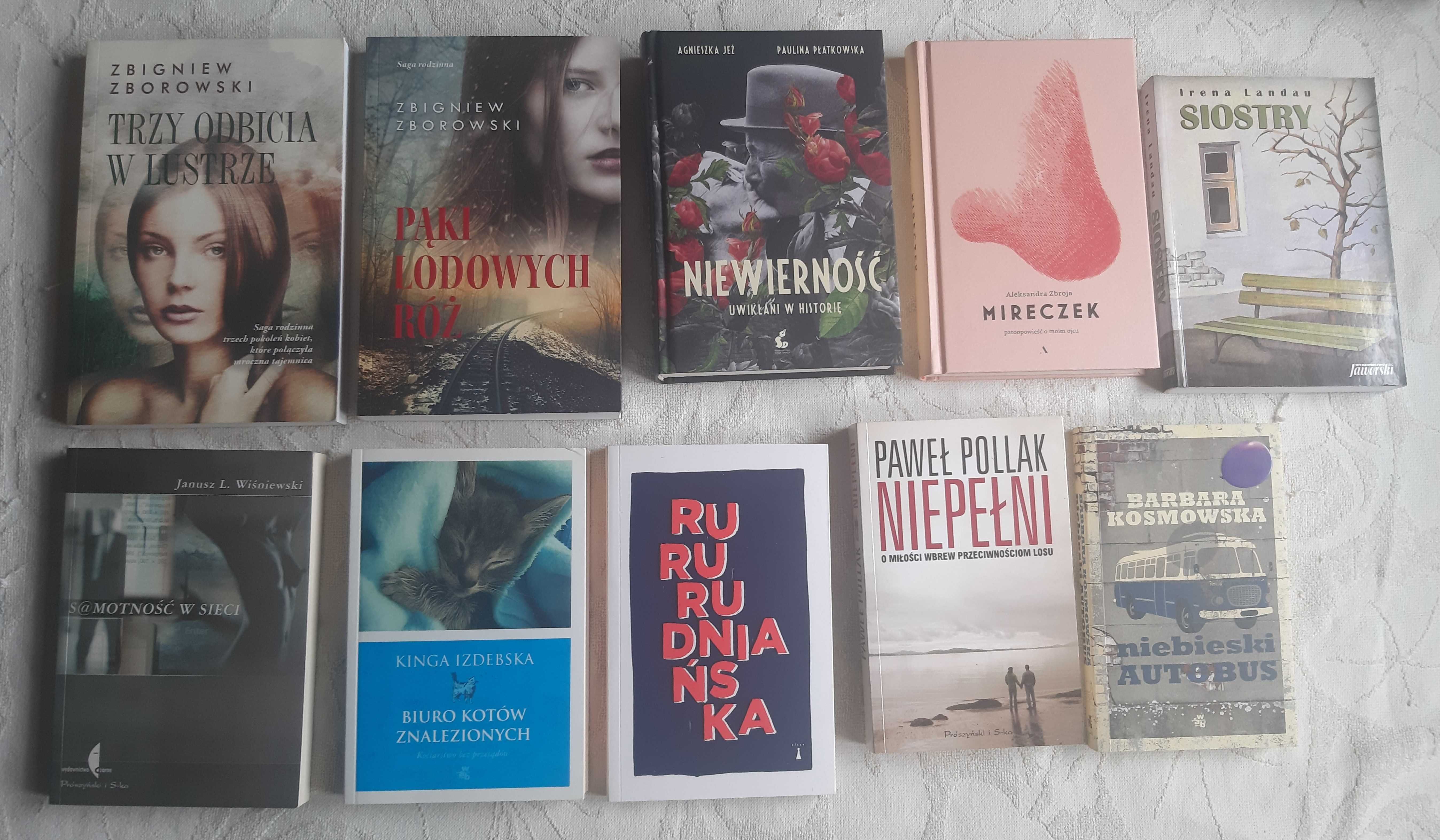 Literatura polska - 10 książek /Niepełni Siostry Ruru Mireczek i in./