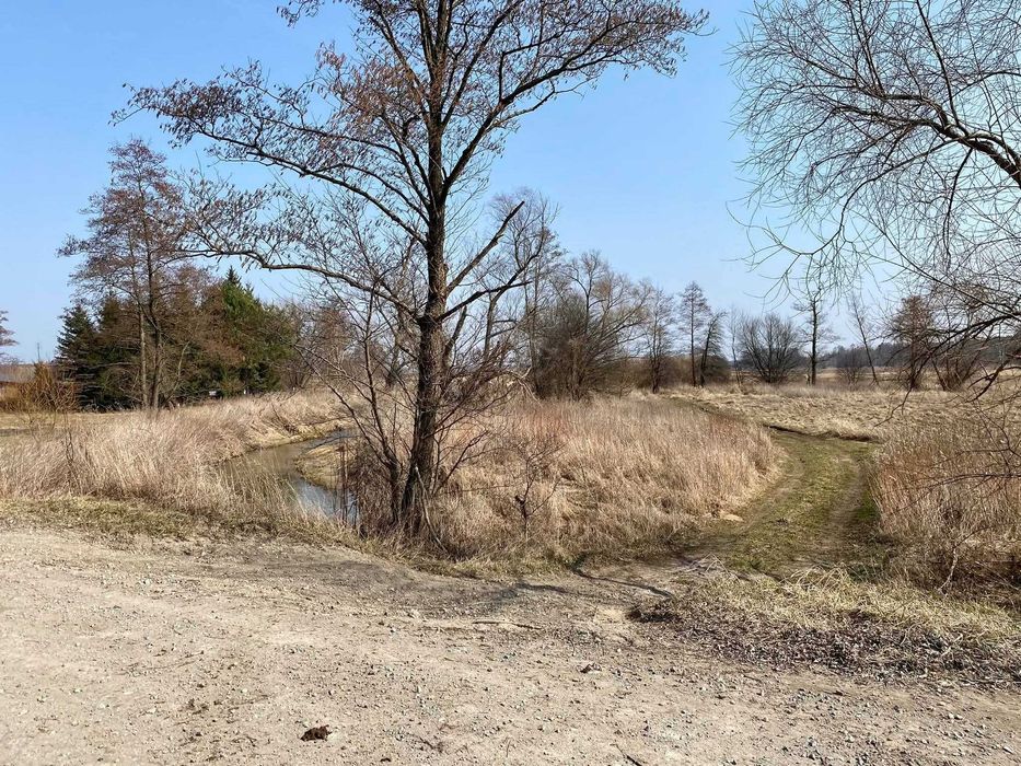 Działka z linią brzegową rzeki Mienia