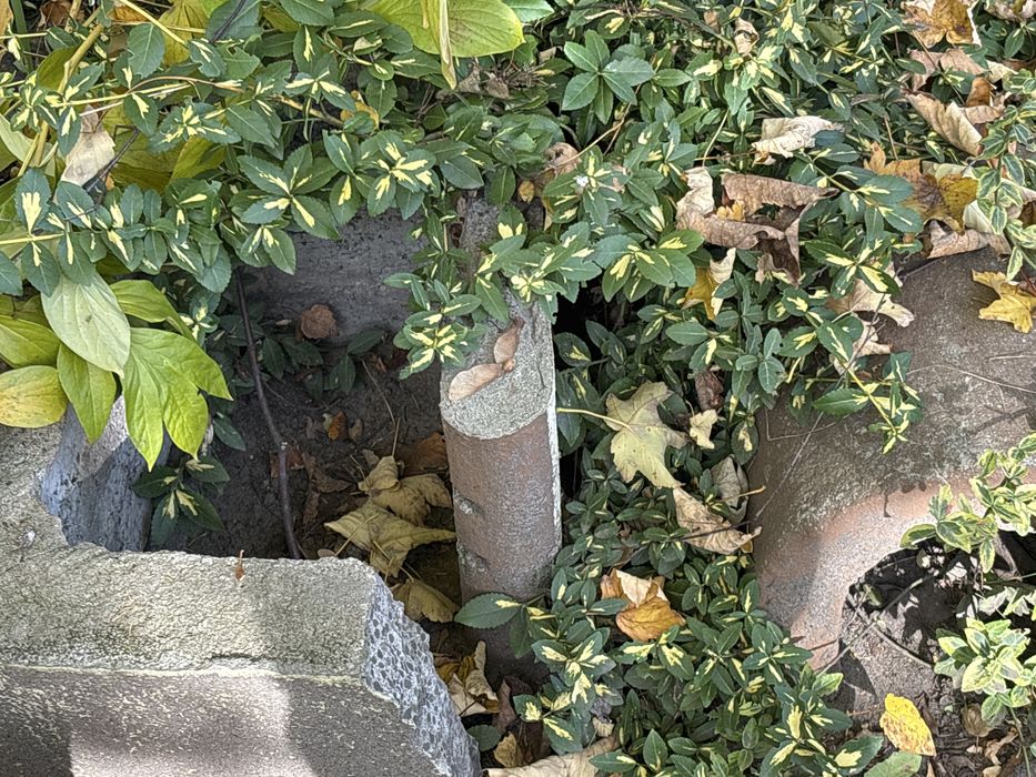 Oddam gril ogrodowy