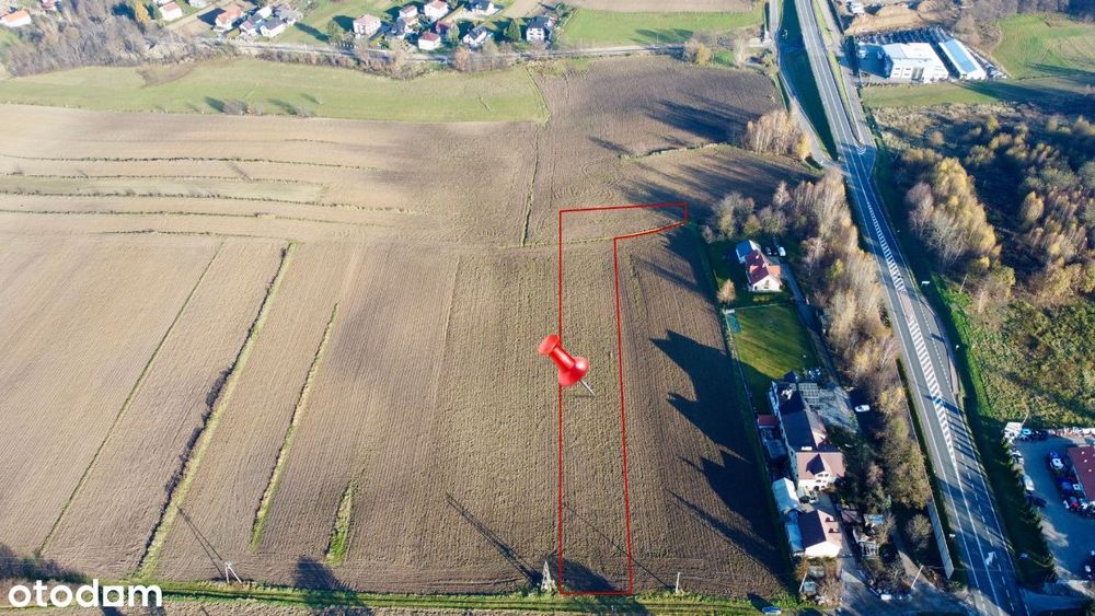 Bodzanów piękna działka Budowlano-Usługowa 38 ar.
