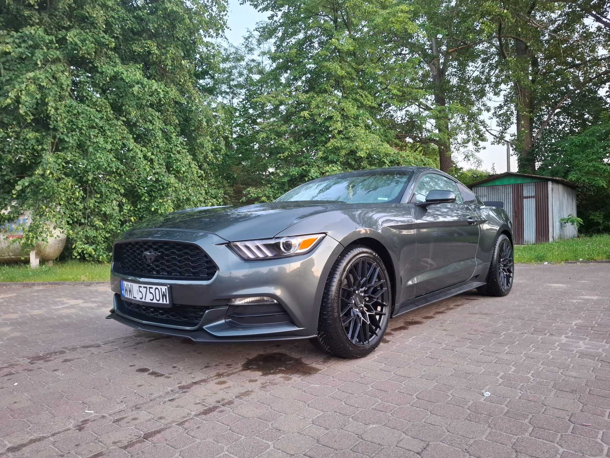 Wynajem!Mustang do ślubu,filmu,teledysk!