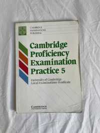 Cambridge Proficiency Practice 5