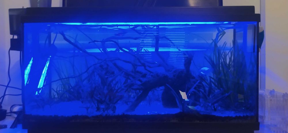 Aquário completo 90litros, 1 ano de uso